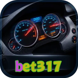 bet317