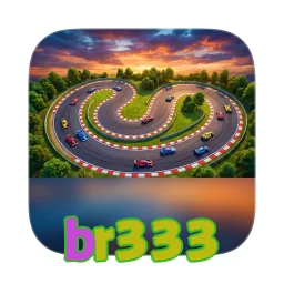 br333