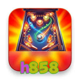 h858